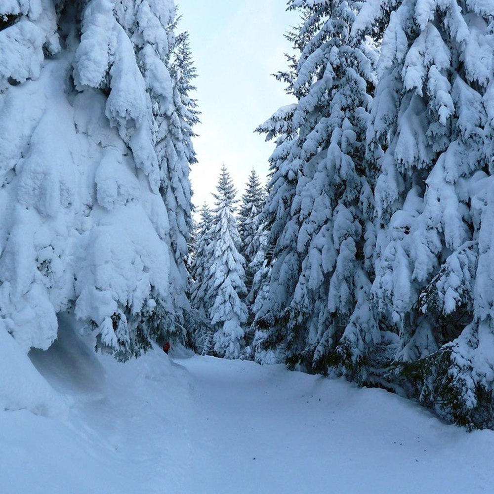 Appartement Epple-Beck - Ferienwohnung, Urlaub im Allgäu