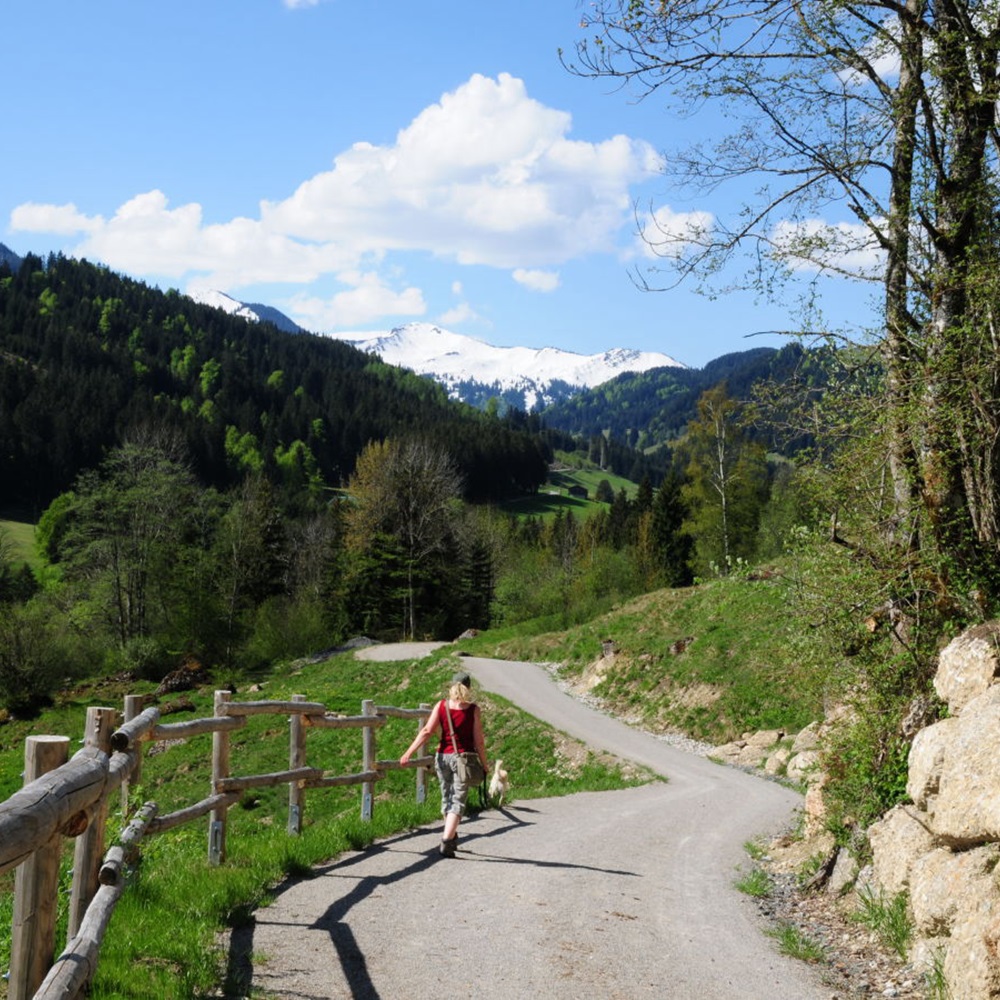 Appartement Epple-Beck - Ferienwohnung, Urlaub im Allgäu